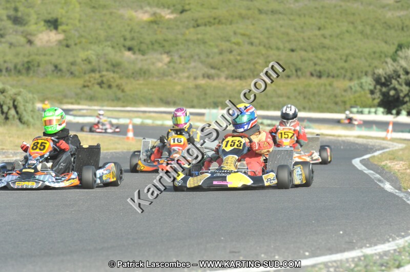 DSC (4140).JPG